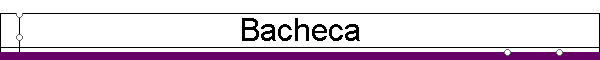 Bacheca