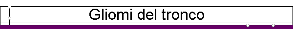 Gliomi del tronco
