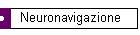 Neuronavigazione