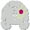 chirur1.gif (10761 byte)