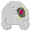 chirur2.gif (12174 byte)