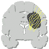 chirur3.gif (12399 byte)